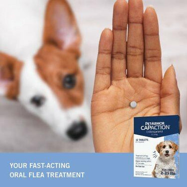 Petarmor Capaction Flea Tabs for Dogs, Choose Size